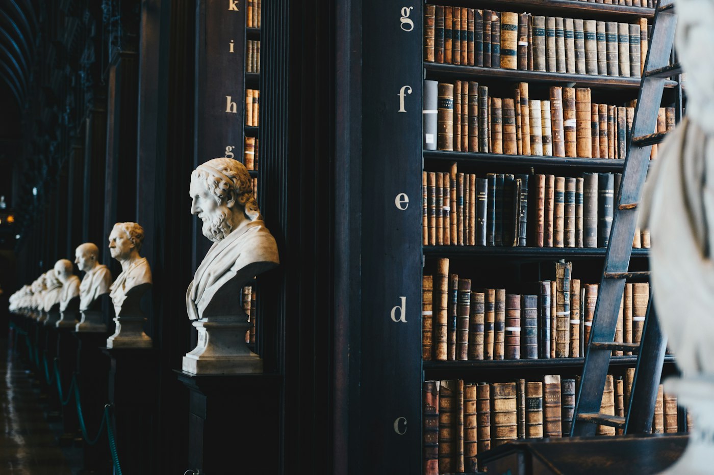 Biblioteca jurídica com bustos clássicos
